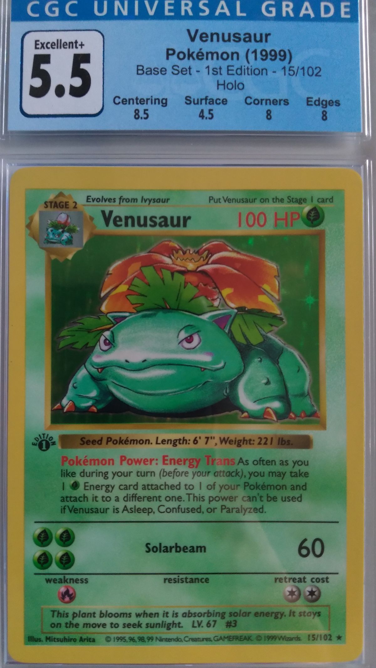 pokemon lillipup card Pokemon TCG: Evolving Skies