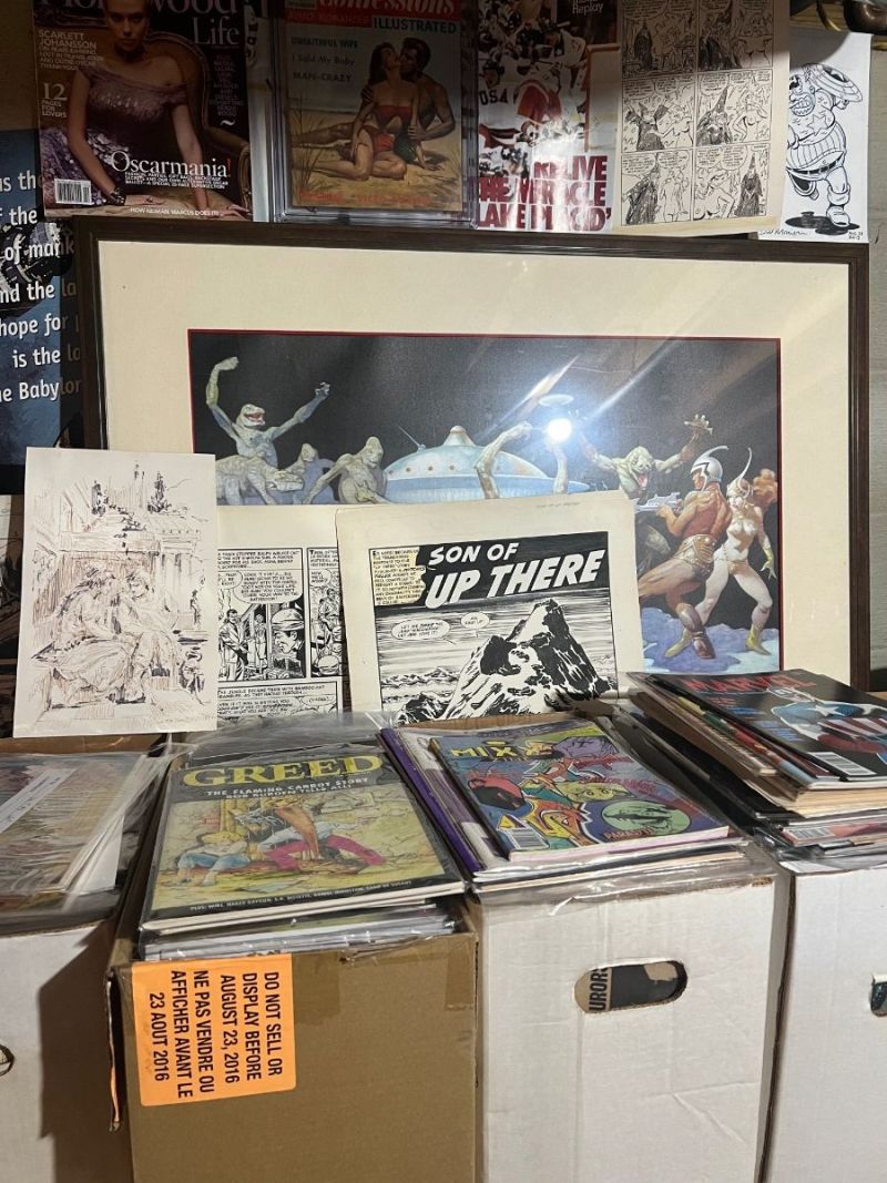 COLLECTING WAY: To scatter or not scatter? - Comics General - CGC Comic ...