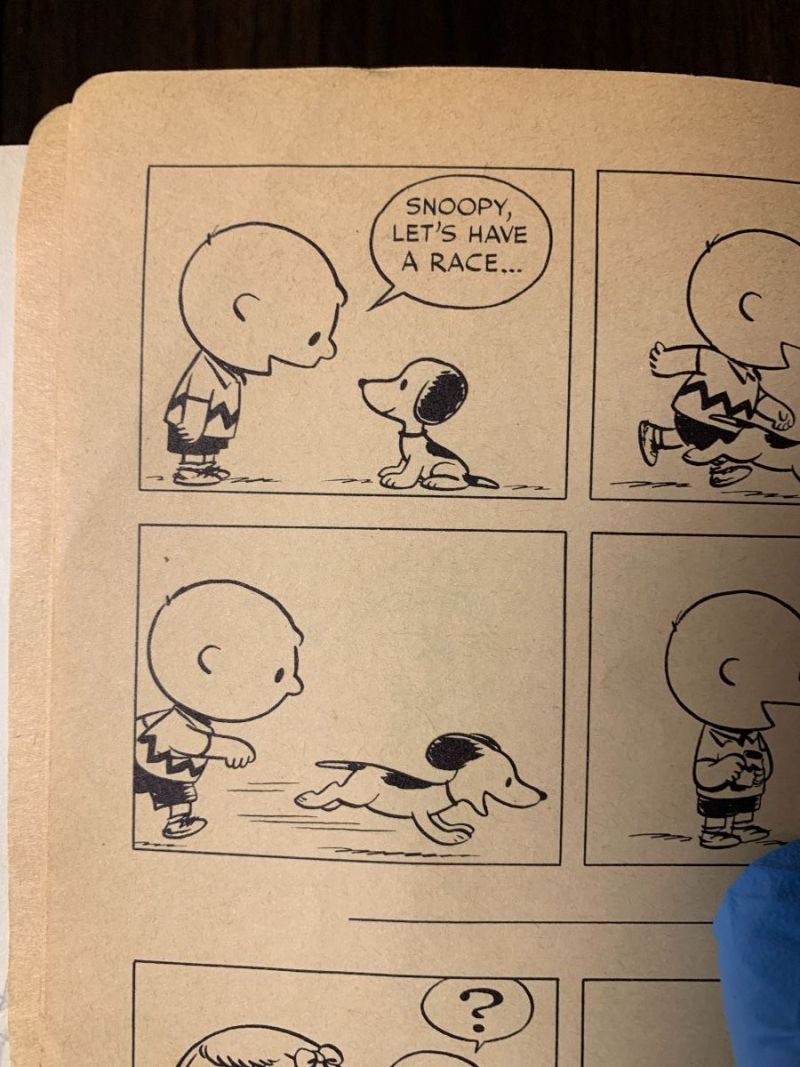 Peanuts11sted.-EBay(5).thumb.JPG.989d8d65cedbf1534b29bd65cfd56f26.JPG